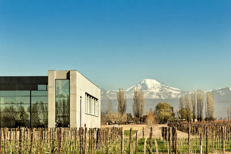 2 bodegas 1 olivicola (incluye ingreso y degustación)